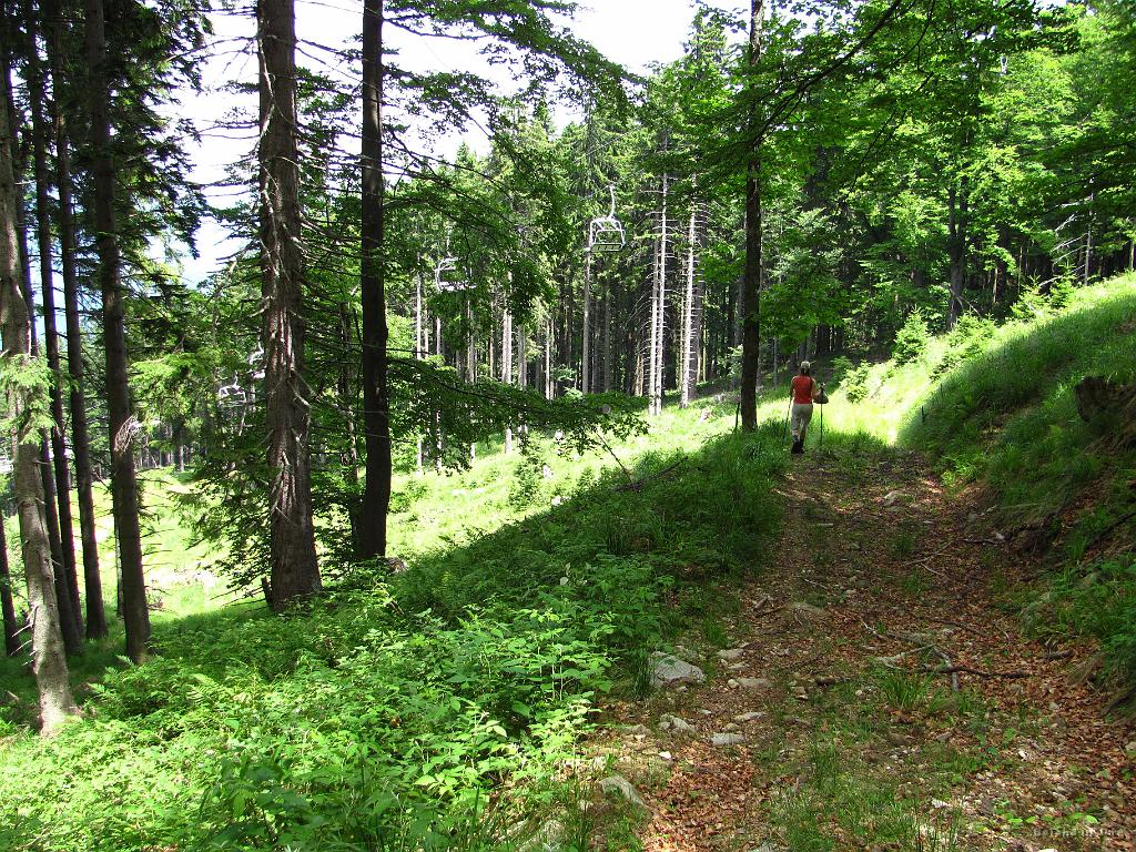 Slika_182.jpg - Zaenkrat nama senca še služi.