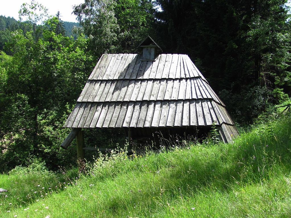 Slika_201.jpg - Tu mimo, kjer sva že bila in je videti najbolj shojeno.