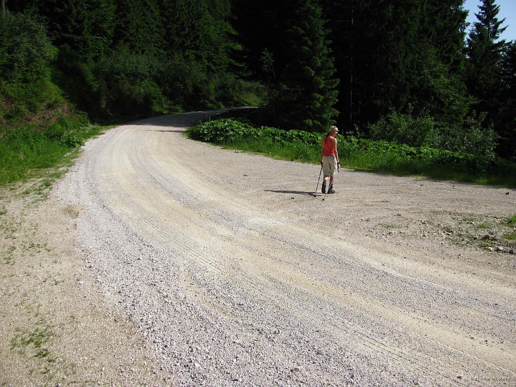 Slika_218.jpg - Na cesti med Partizanskim domom in cesto, ki pelje do Hotela Luka. Pod tem odcepom naj bi bila partizanska bolnišnica KRN.