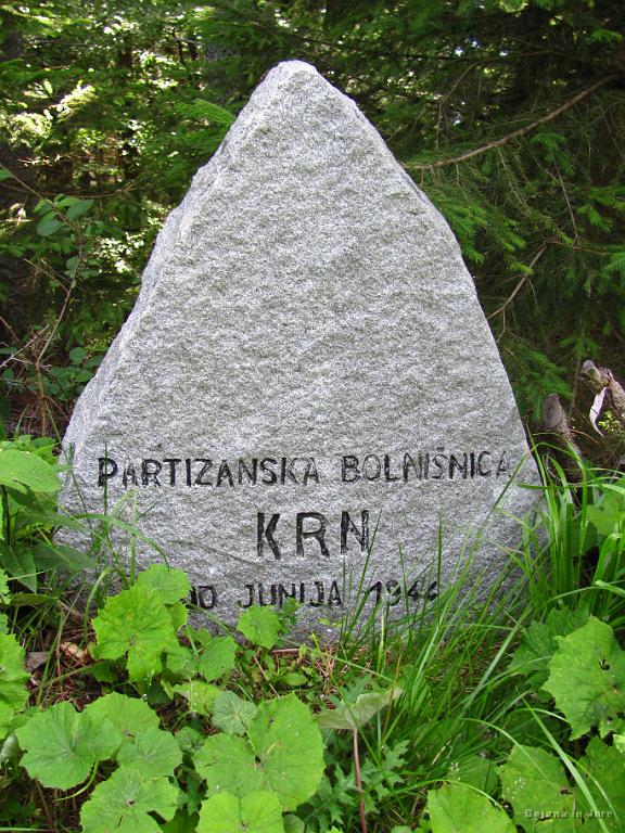 Slika_219.jpg - Obeležje je tu, ampak ali je tudi še kaj konkretnega ostalo? Vidne poti ni, ampak to naju še nikoli ni ustavilo.