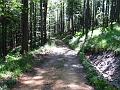 Slika_023