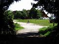 Slika_027