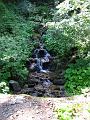 Slika_031