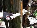 Slika_037
