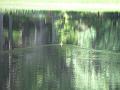 Slika_046