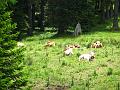 Slika_054