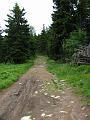 Slika_077