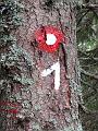 Slika_078