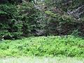 Slika_079