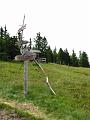 Slika_082