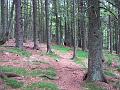 Slika_107