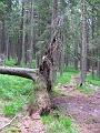 Slika_116