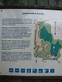 Slika_128