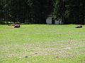 Slika_159
