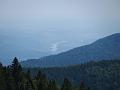 Slika_163