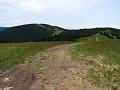 Slika_175