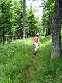 Slika_181
