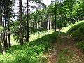 Slika_182