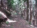 Slika_184