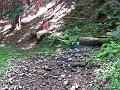 Slika_185