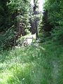 Slika_197