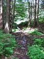 Slika_203