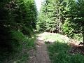 Slika_205