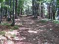 Slika_207