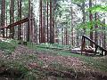 Slika_209