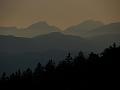 Slika_230