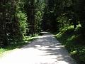 Slika_279