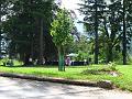 Slika_297