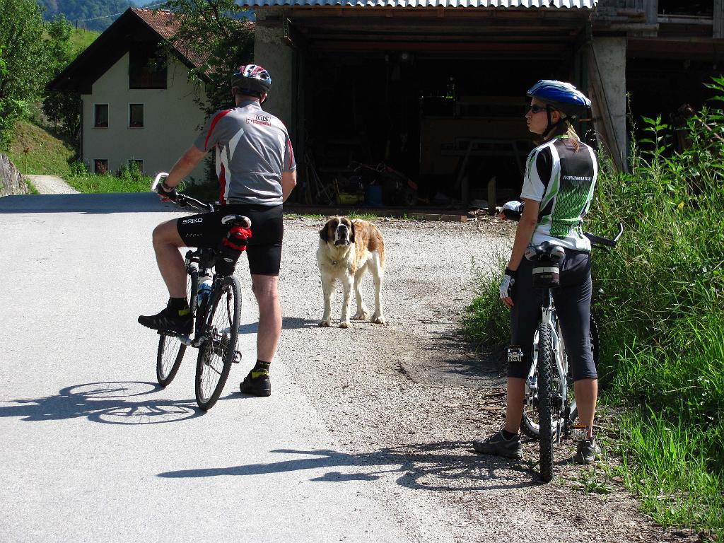 Slika_42.jpg - Koža nas je prišel pogledati. Le kam gleda Bojana?