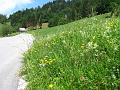 Slika_06