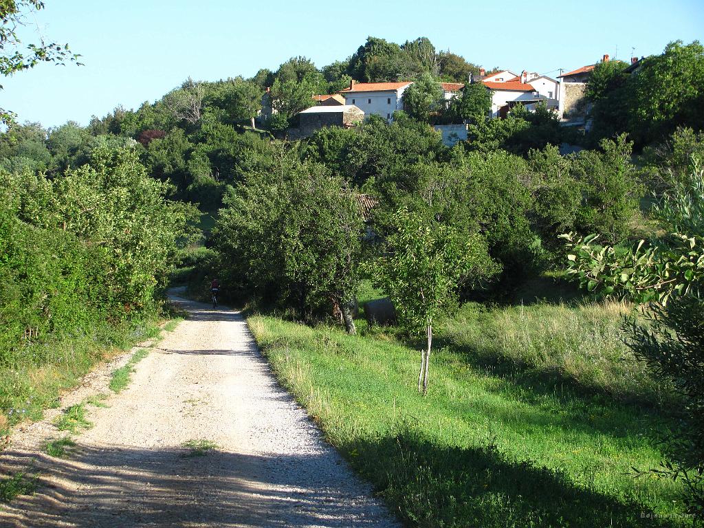 Slika_009.jpg - Ob pravem letnem času se tukaj napokaš od sadnih dobrot.