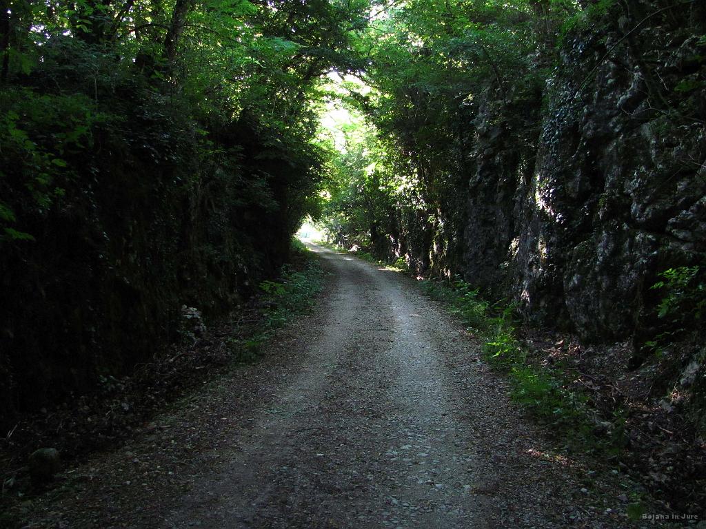 Slika_019.jpg - Pravljična atmosfera, ki jo pričarajo z bršljanom obrasle stene.