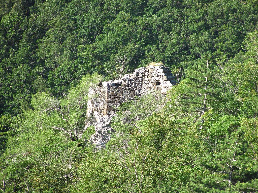 Slika_027.jpg - Ruševine pod potjo.