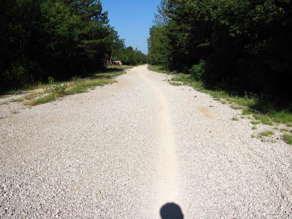 Slika_043.jpg - Še ena ravnina ob postaji v Borštu .