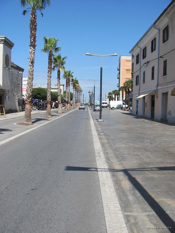 Slika_079.jpg - Koper. Vidim, da palme še kar vztrajajo. Pa če bi raje posadili sibirsko smreko? Mogoče bo druga skrajnost kaj bolj primerna.