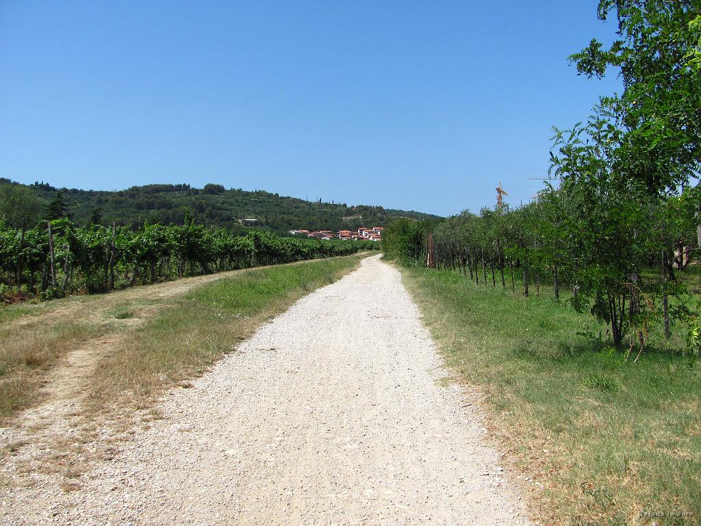 Slika_091.jpg - ...do vinogradov, kjer pa ena tabla manjka, zato pozor.