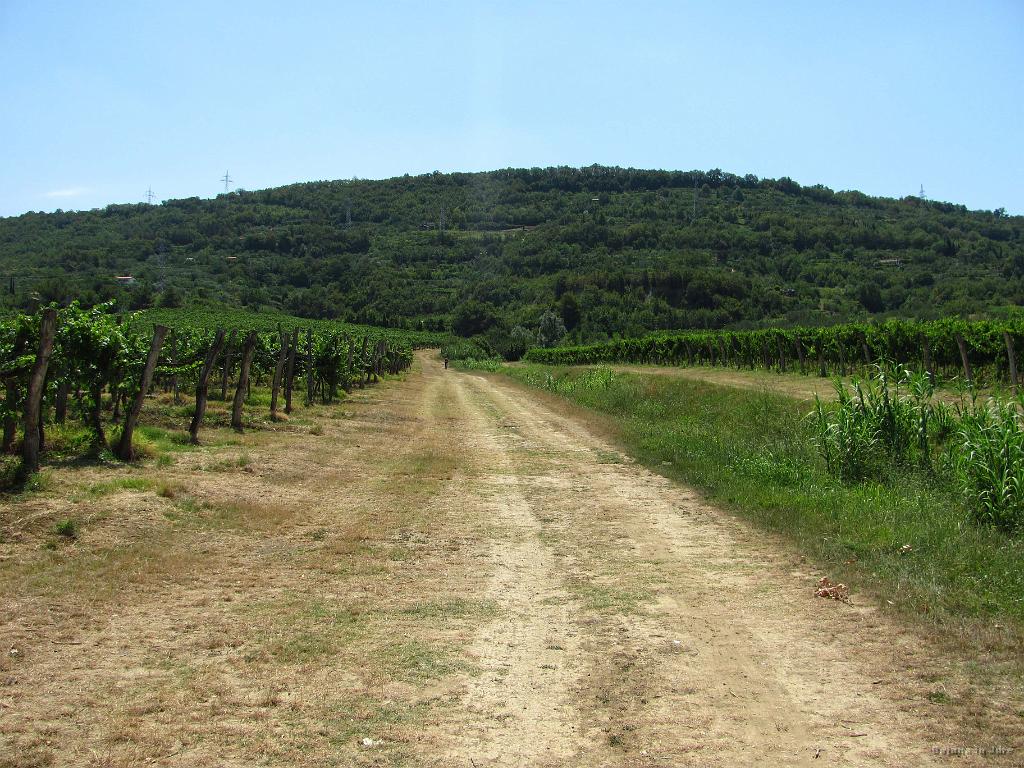 Slika_092.jpg - Ne iti naprej po tej poti. Manjkajoča tabla je zavedla še enega gospoda, s katerim smo skupaj iskali pravo, ki na tej točki zavije desno čez mostiček..
