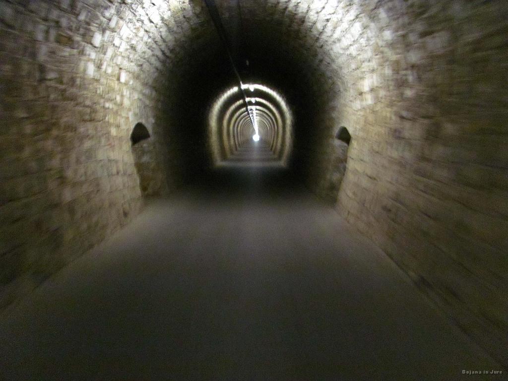 Slika_100.jpg - Donkey:"If you see a long tunnel, stay away from the light!"