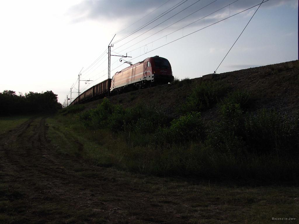 Slika_161.jpg - Tik pred Črnotičami Jure čaka pri železnici, kamor naj bi po drugi poti prišla tudi jaz.