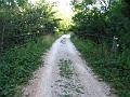 Slika_018