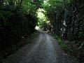 Slika_019