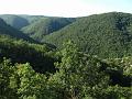Slika_025