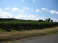 Slika_069