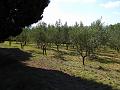 Slika_070