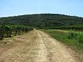 Slika_092