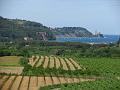 Slika_097